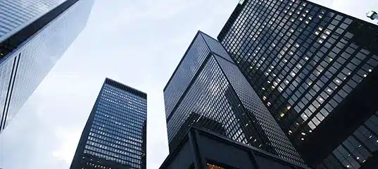 Fortune 500 Companies